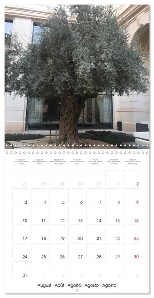Produktbild: Kingdom of Saudi Arabia Riyadh and Jeddah (Wall Calendar 2026 12 &times; 12 Inch) CALVENDO 12 Month Wall Calendar