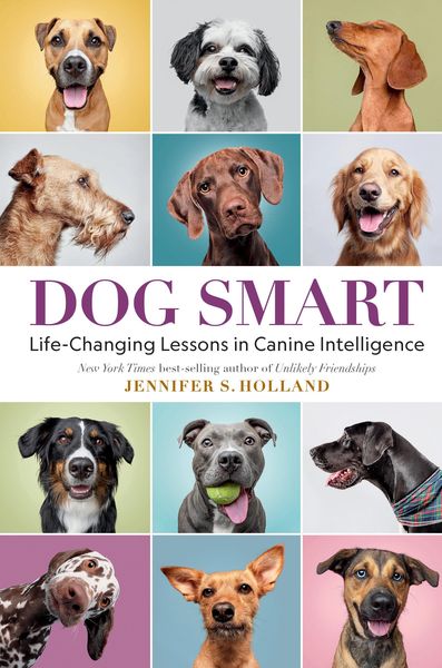 Produktbild: Dog Smart