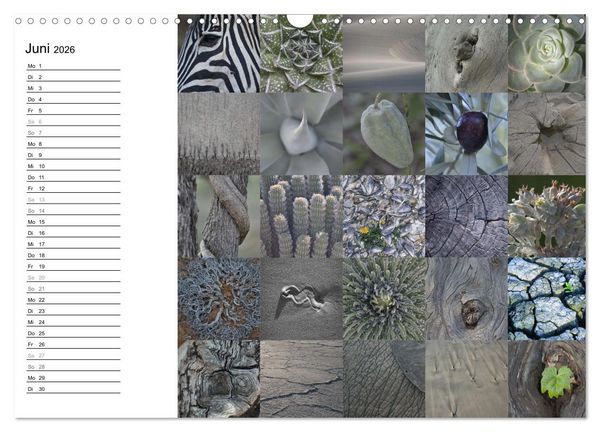Produktbild: Farbenkaleidoskop (Wandkalender 2026 DIN A3 quer), CALVENDO Monatskalender
