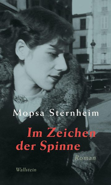 Produktbild: Im Zeichen der Spinne
