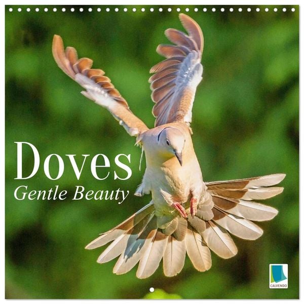 Produktbild: Doves: Gentle Beauty (Wall Calendar 2027 12 &times; 12 Inch) CALVENDO 12 Month Wall Calendar