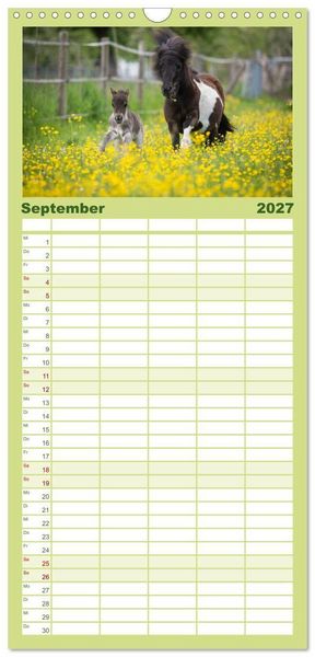 Produktbild: Familienplaner 2027 - Ponys. Herzensbrecher mit Grips mit 5 Spalten (Wandkalender, 21 x 45 cm) CALVENDO