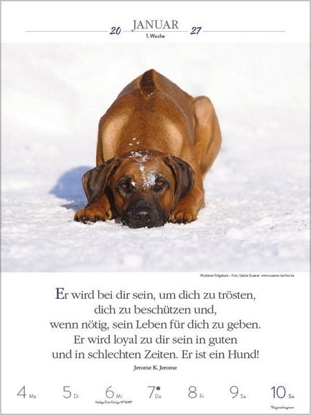 Produktbild: Literaturkalender Hunde 2027