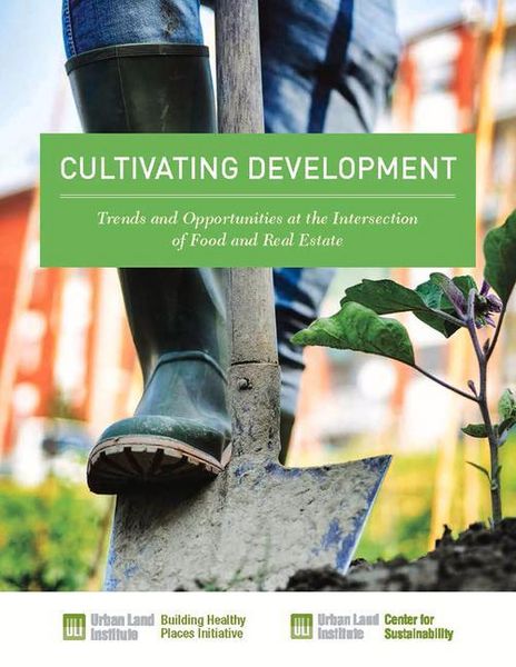 Produktbild: Carey, K: Cultivating Development: Trends and Opportunities
