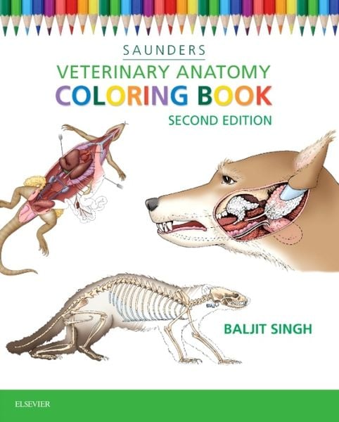 Produktbild: Veterinary Anatomy Coloring Book