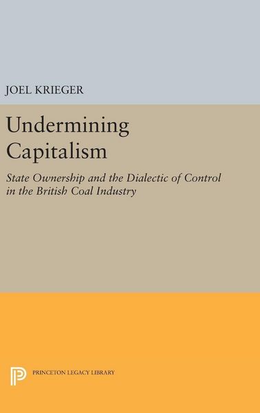 Produktbild: Undermining Capitalism