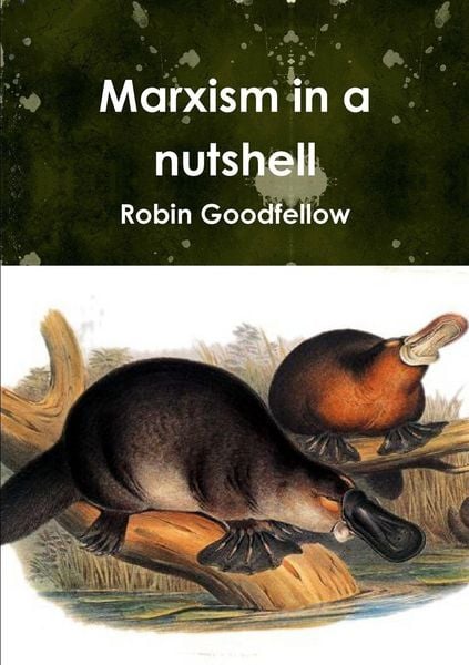 Produktbild: Marxism in a nutshell