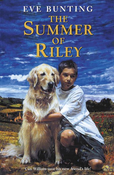 Produktbild: The Summer of Riley