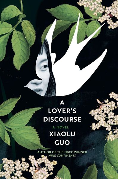 Produktbild: A Lover's Discourse