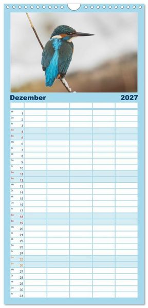 Produktbild: Familienplaner 2027 - Alcedo atthis. Der Eisvogel mit 5 Spalten (Wandkalender, 21 x 45 cm) CALVENDO