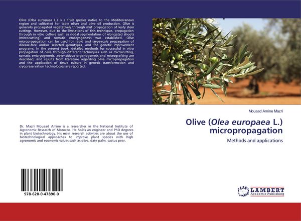 Produktbild: Olive (Olea europaea L.) micropropagation