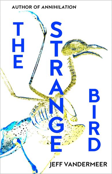 Produktbild: The Strange Bird