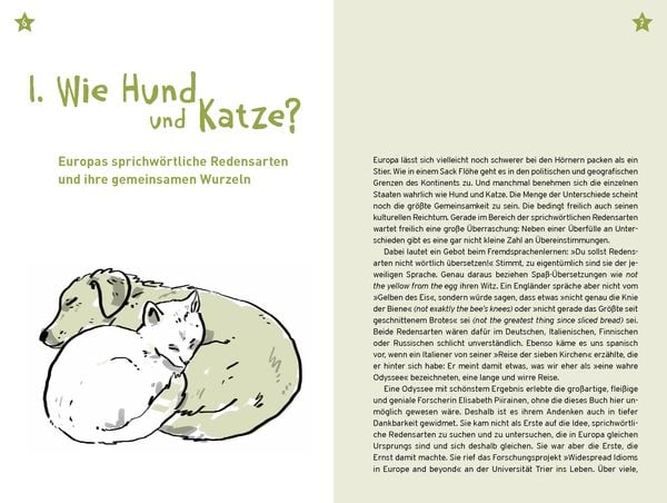 Produktbild: Ph&ouml;nix aus der Asche
