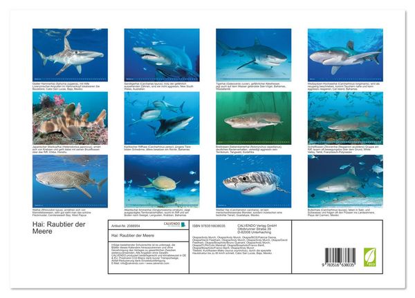 Produktbild: Hai: Raubtier der Meere (Wandkalender 2026 DIN A3 quer), CALVENDO Monatskalender