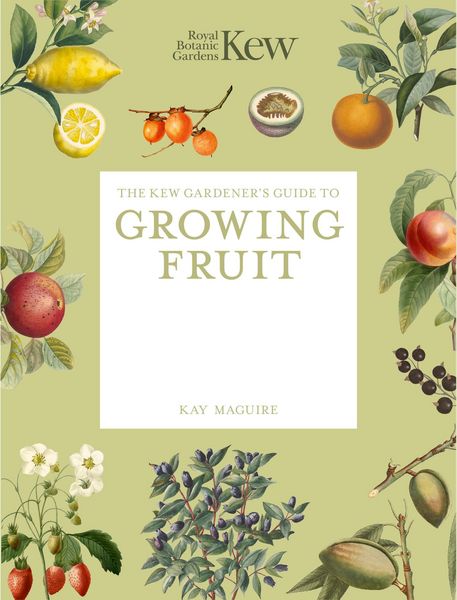 Produktbild: The Kew Gardener's Guide to Growing Fruit