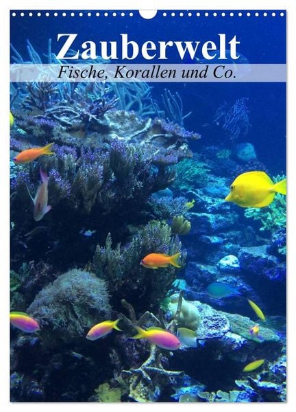 Produktbild: Zauberwelt. Fische, Korallen und Co. (Wandkalender 2026 DIN A3 hoch), CALVENDO Monatskalender