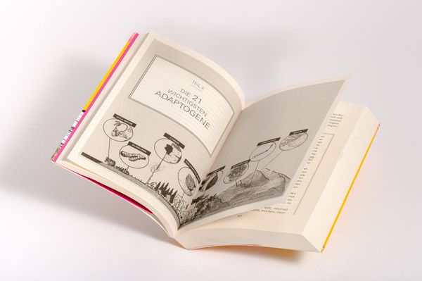 Produktbild: Das Handbuch der heilenden Adaptogene