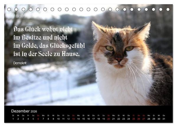 Produktbild: Gl&uuml;ckskatze - Mit Zitaten zum Thema Gl&uuml;ck (Tischkalender 2026 DIN A5 quer), CALVENDO Monatskalender