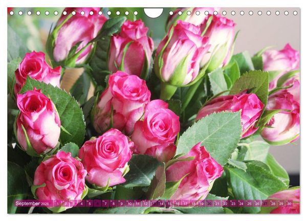 Produktbild: Verlockende Rosenpracht (Wandkalender 2026 DIN A4 quer), CALVENDO Monatskalender