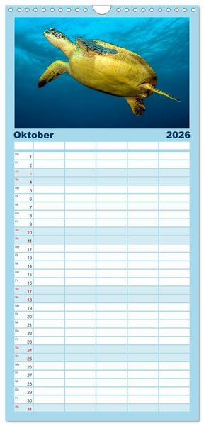 Produktbild: Familienplaner 2026 - Schildkr&ouml;ten des Ozeans mit 5 Spalten (Wandkalender, 21 x 45 cm) CALVENDO