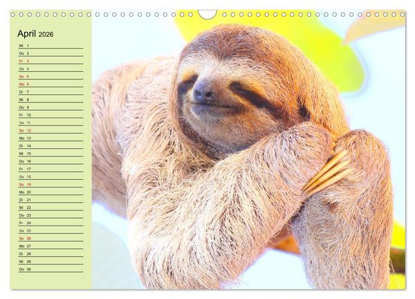 Produktbild: Der Faultier-Planer f&uuml;r mehr Ruhe und Gem&uuml;tlichkeit! (Wandkalender 2026 DIN A3 quer), CALVENDO Monatskalender