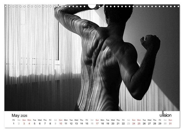 Produktbild: Male Nude Art (Wall Calendar 2026 DIN A3 landscape), CALVENDO 12 Month Wall Calendar