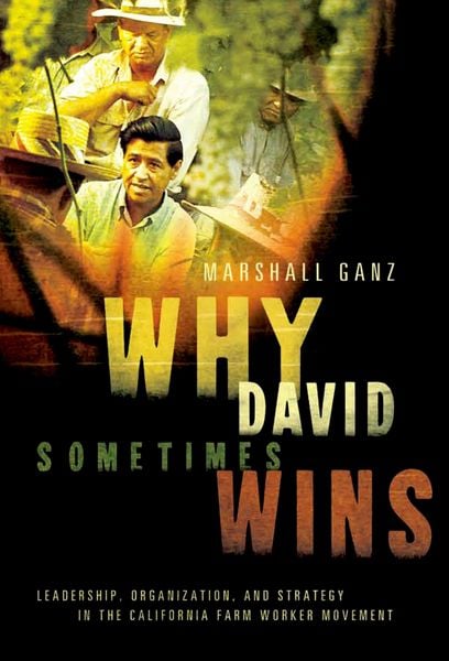 Produktbild: Why David Sometimes Wins