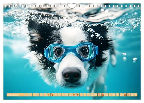 Produktbild: Lustige Sportarten f&uuml;r Hunde (Wandkalender 2027 DIN A4 quer), CALVENDO Monatskalender