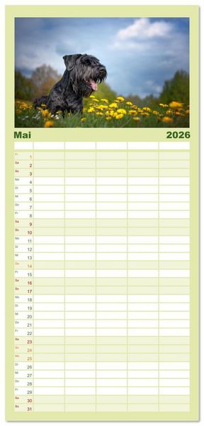 Produktbild: Familienplaner 2026 - Mit dem Riesenschnauzer durch das Jahr mit 5 Spalten (Wandkalender, 21 x 45 cm) CALVENDO