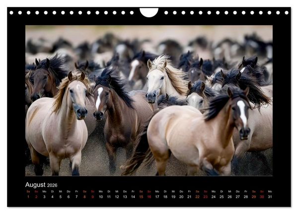 Produktbild: Geheimnisvolle Wildnis Deutschlands (Wandkalender 2026 DIN A4 quer), CALVENDO Monatskalender