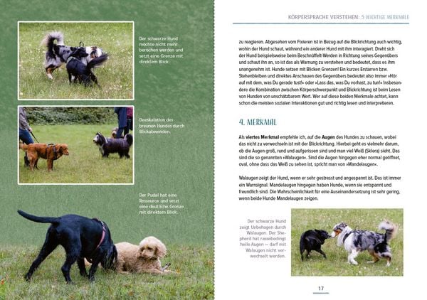 Produktbild: Das Hundesprachbuch