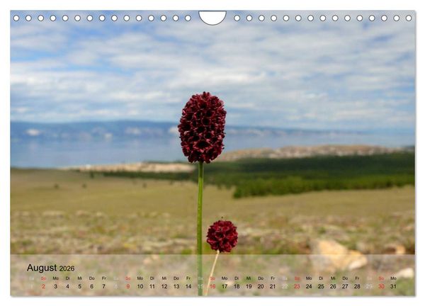 Produktbild: Olchon - Insel im Baikalsee (Wandkalender 2026 DIN A4 quer), CALVENDO Monatskalender