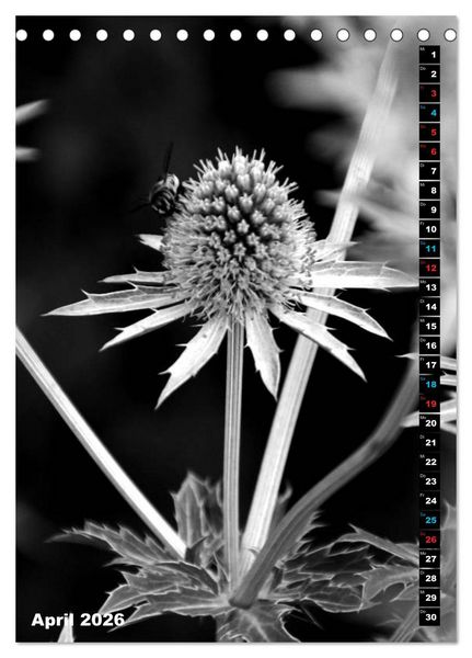 Produktbild: Blumige Graustufen - Schwarz und Wei&szlig; (Tischkalender 2026 DIN A5 hoch), CALVENDO Monatskalender