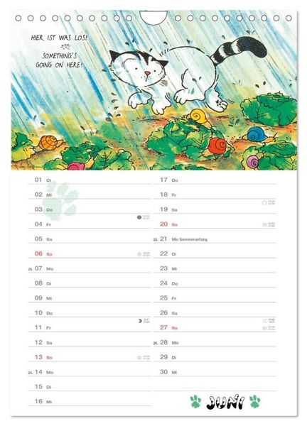 Produktbild: Kater Jacob: kleine Katzenweisheiten (Wandkalender 2027 DIN A4 hoch), CALVENDO Monatskalender
