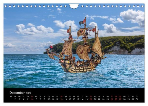 Produktbild: Martin B&auml;ren (Wandkalender 2026 DIN A4 quer), CALVENDO Monatskalender