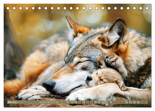 Produktbild: Die wilden Hunde (Tischkalender 2026 DIN A5 quer), CALVENDO Monatskalender