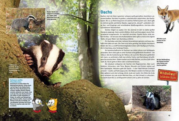 Produktbild: Entdecke heimische Wildtiere
