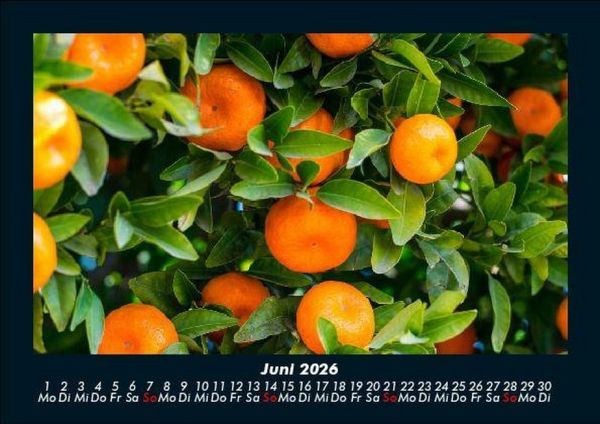 Produktbild: Obstkalender 2026 Fotokalender DIN A5
