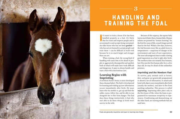 Produktbild: Storey's Guide to Training Horses, 3rd Edition