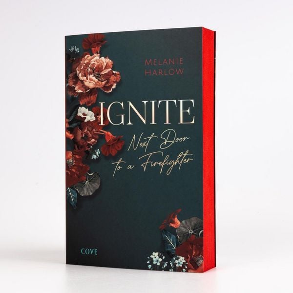 Produktbild: Ignite (New Beginnings at Cloverleigh Farm 1)