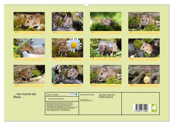 Produktbild: ... hier kommt die Maus ... (hochwertiger Premium Wandkalender 2026 DIN A2 quer), Kunstdruck in Hochglanz