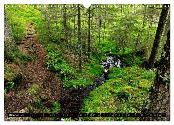 Produktbild: Tiveden, der NatURWALD in Schweden (Wandkalender 2026 DIN A3 quer), CALVENDO Monatskalender