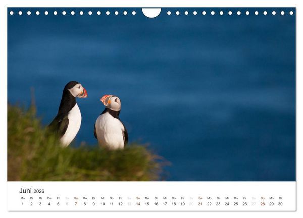 Produktbild: ISLAND 63&deg; - 66&deg; N / 13&deg; - 25&deg; W (Wandkalender 2026 DIN A4 quer), CALVENDO Monatskalender