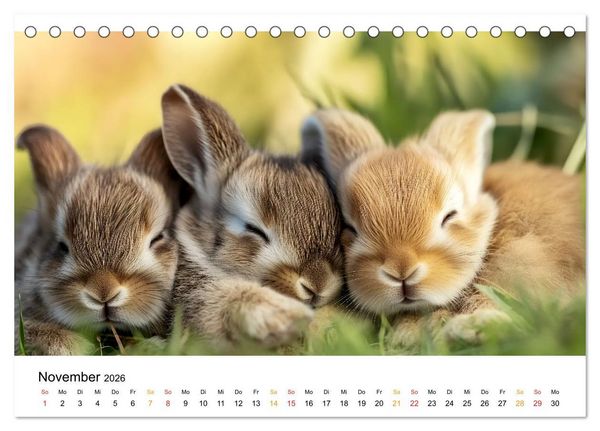 Produktbild: Wenn Tierchen tr&auml;umen (Tischkalender 2026 DIN A5 quer), CALVENDO Monatskalender