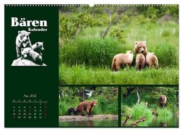 Produktbild: B&auml;renkalender (hochwertiger Premium Wandkalender 2026 DIN A2 quer), Kunstdruck in Hochglanz