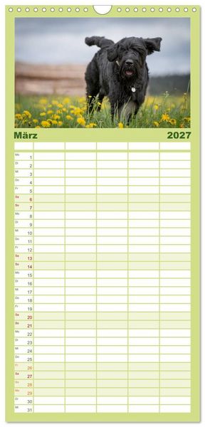 Produktbild: Familienplaner 2027 - Schnauzer... von Zwergen und Riesen 2027 mit 5 Spalten (Wandkalender, 21 x 45 cm) CALVENDO