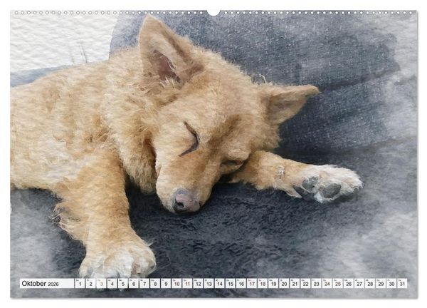 Produktbild: Niedliche Hunde - Digitale Aquarelle (Wandkalender 2026 DIN A2 quer), CALVENDO Monatskalender