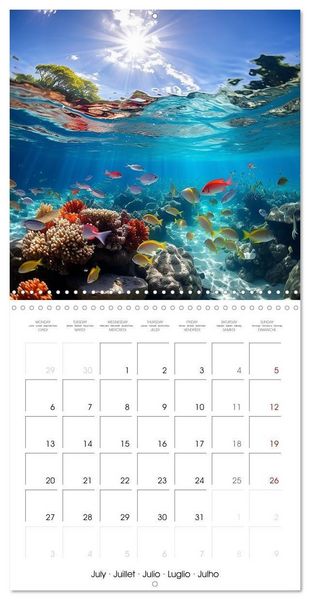 Produktbild: Beside tropical beaches (Wall Calendar 2026 12 &times; 12 Inch) CALVENDO 12 Month Wall Calendar