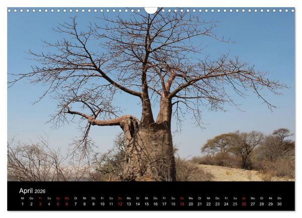 Produktbild: Tansania (Wandkalender 2026 DIN A3 quer), CALVENDO Monatskalender