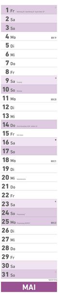 Superplaner 2026 - Streifenkalender 17x85 cm - mit Ringbindung - viel Platz für Notizen - Langplaner - Wandkalender - Küchenkalender - Alpha Edition